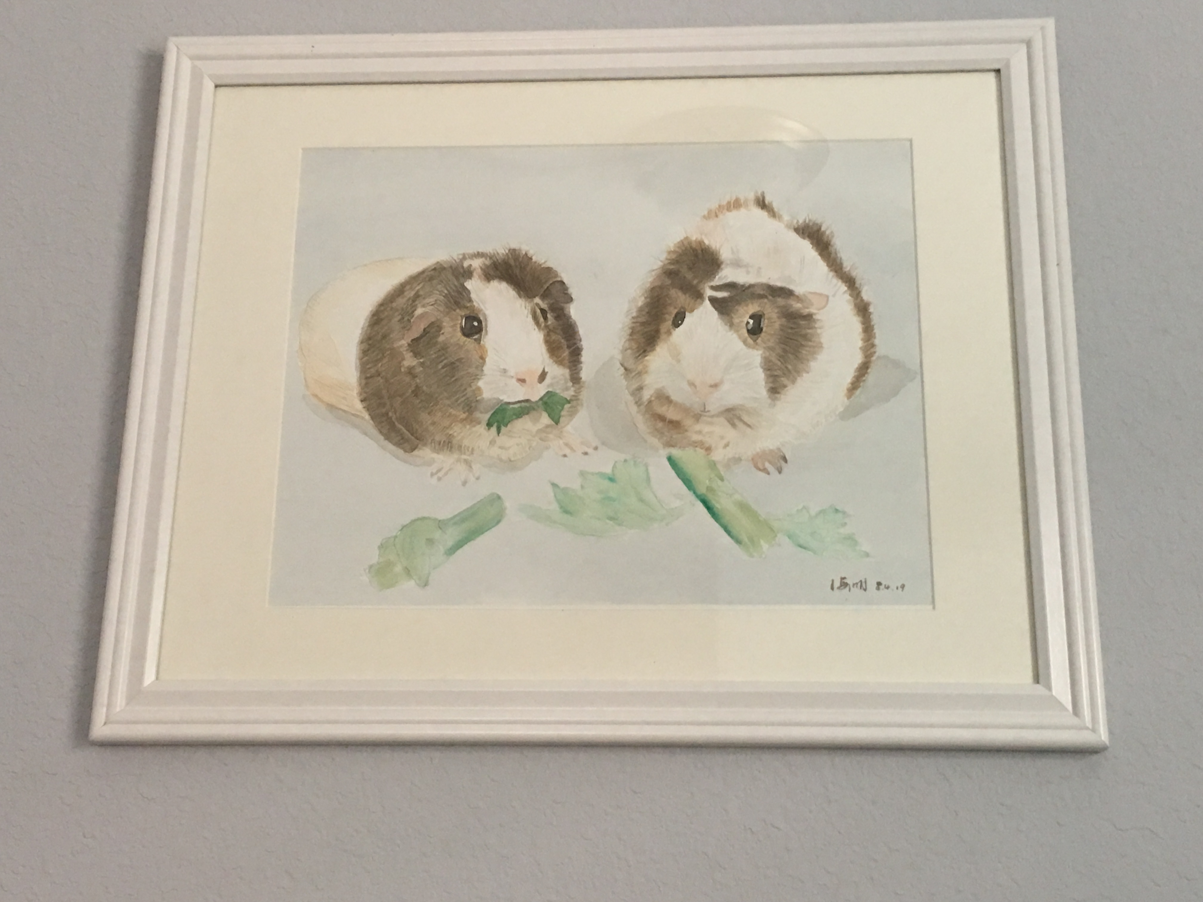 Guinea Pigs